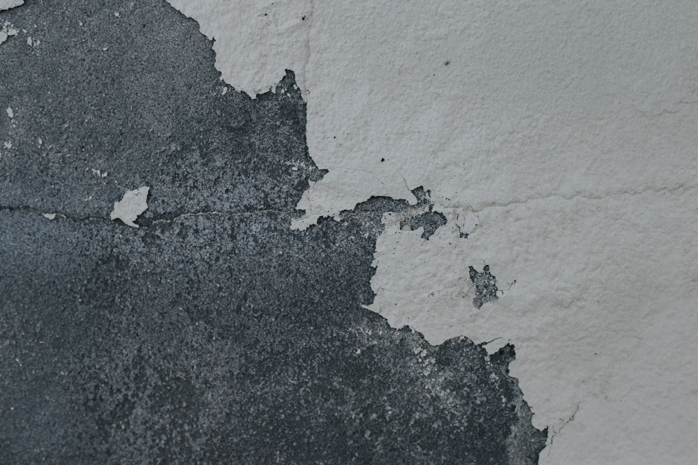 Damp wall treatment and property restoration in Almeria